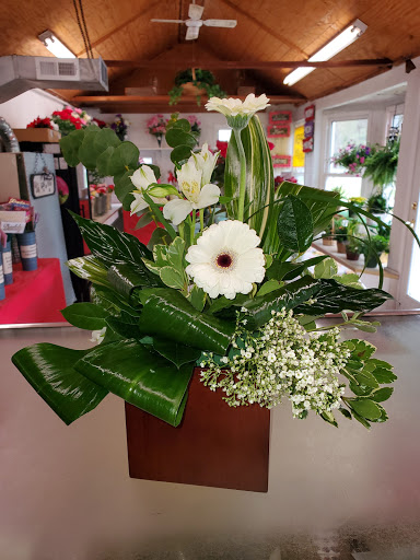 Florist «McClure-Parkhurst Florist», reviews and photos, 25815 W 10 Mile Rd, Southfield, MI 48033, USA
