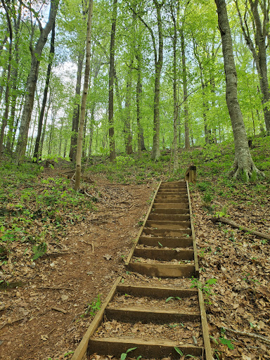 Nature Preserve «Swift Creek Bluffs Nature Preserve», reviews and photos, 7800 Holly Springs Rd, Raleigh, NC 27606, USA