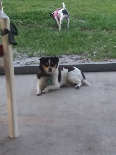 Park «Lincoln Avenue Community Park», reviews and photos, 1200 N Unser St, Mt Dora, FL 32757, USA