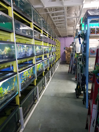 Fish Farm «Aquarium & Garden Inc.», reviews and photos, 1610 S 341st Pl f, Federal Way, WA 98003, USA