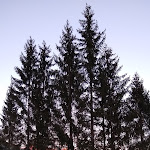 Photo n°8 de l'avis de Caterina.a fait le 30/01/2019 à 22:03 sur le  Hotel San Giusto à Falcade