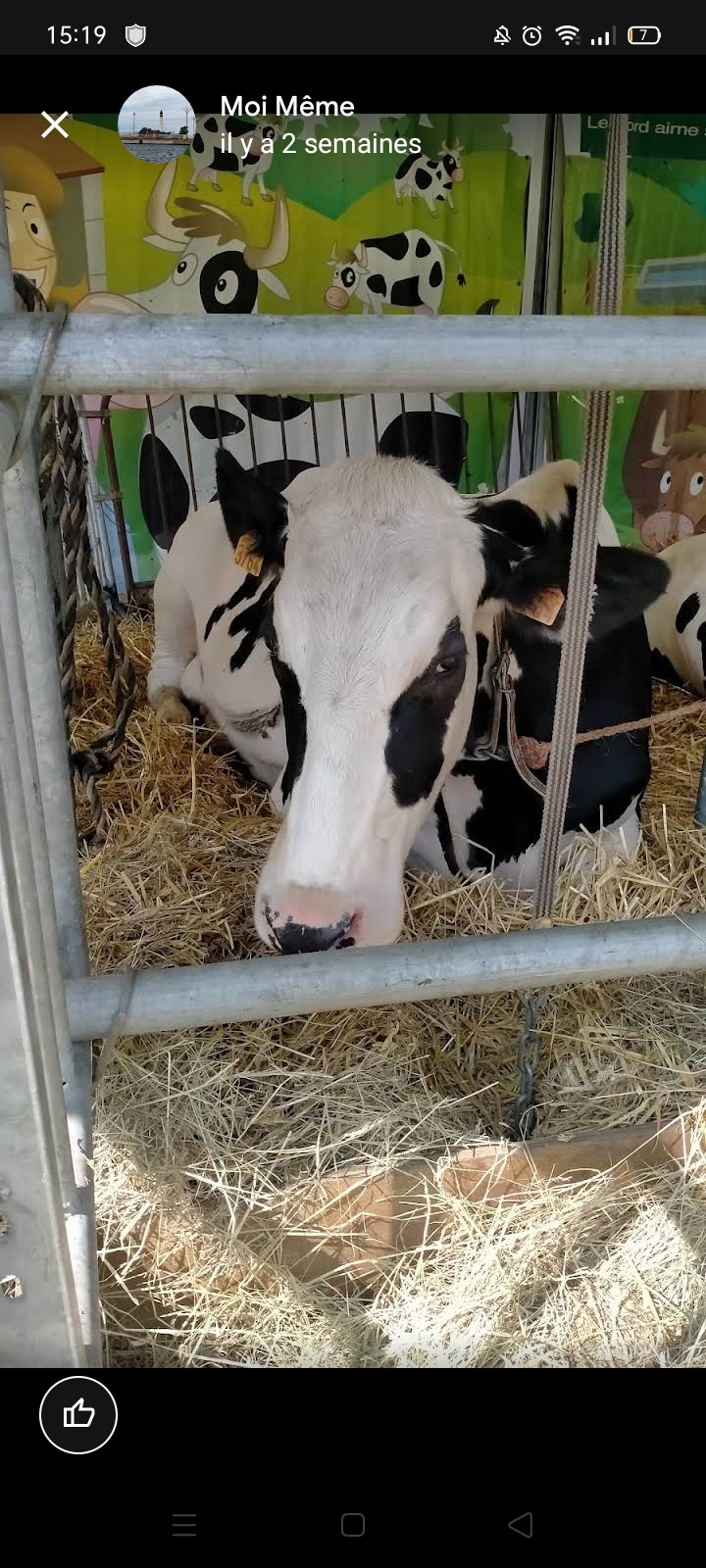 Photo n° 10 de l'avis de Moi.� fait le 16/06/2023 à 13:22