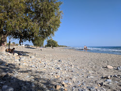 Foto di Vatalos beach area servizi