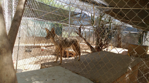 Wildlife Rescue Service «Southwest Wildlife Conservation Center», reviews and photos, 27026 N 156th St, Scottsdale, AZ 85262, USA