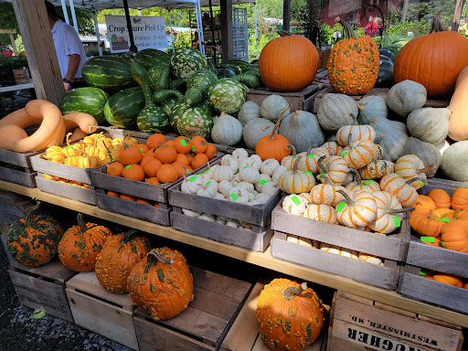 Garden Center «Nalls Produce», reviews and photos, 7310 Beulah St, Alexandria, VA 22315, USA