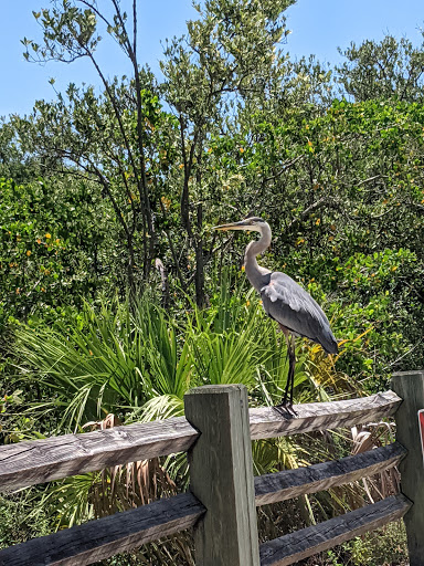 Park «Wall Springs Park», reviews and photos, 3725 Desoto Blvd, Palm Harbor, FL 34683, USA