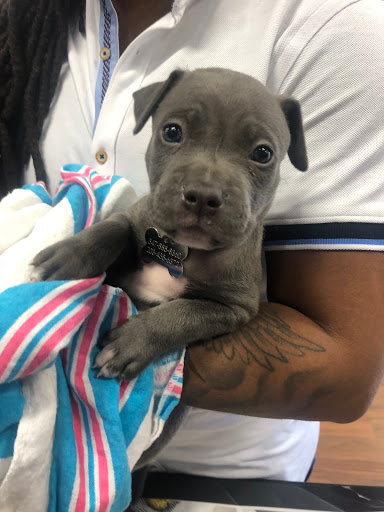 Pet Store «Pet Valu», reviews and photos, 2290 Central Park Ave, Yonkers, NY 10701, USA