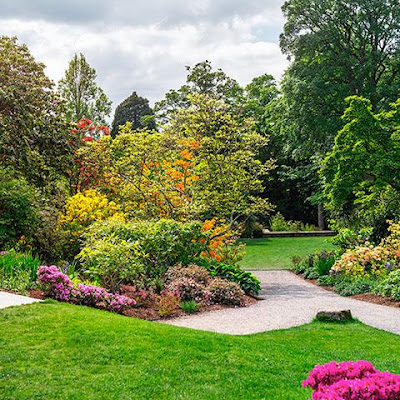 LES JARDINS DE TONY à Carpentras