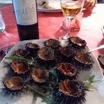 Photo n°5 de l'avis de Leonardo.o fait le 13/08/2016 à 23:35 sur le  Ristorante Almanegra à Porto Cesareo