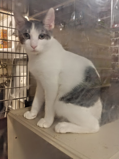 Pet Supply Store «PetSmart», reviews and photos, 16257 N Scottsdale Rd, Scottsdale, AZ 85254, USA