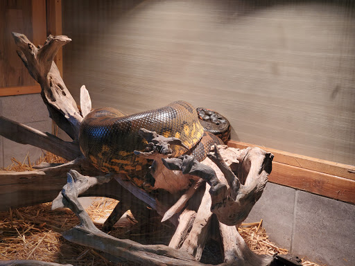 Zoo «Reptile Zoo», reviews and photos, 22715 US-2, Monroe, WA 98272, USA