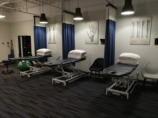 Anatomy Physiotherapy Clinic