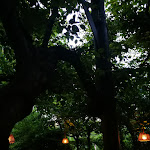 Photo n°2 de l'avis de Beatrice.n fait le 21/07/2020 à 17:28 sur le  Terrazza Mata à Macherio