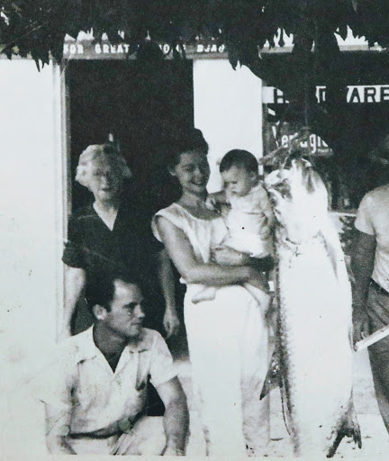 Plant Nursery «Wilcox Nursery», reviews and photos, 12501 Indian Rocks Rd, Largo, FL 33774, USA