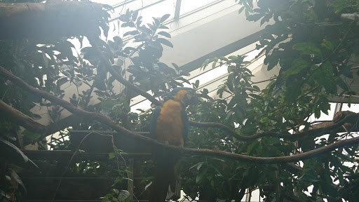 Shopping Mall «Ridgeway Shopping Center», reviews and photos, 2233 Summer St, Stamford, CT 06905, USA