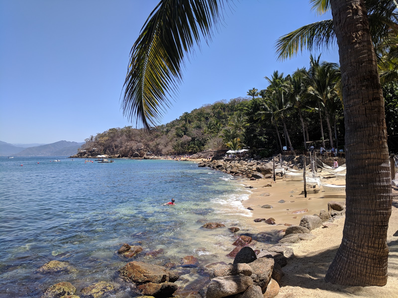 Caletas beach'in fotoğrafı #42 ile birlikte