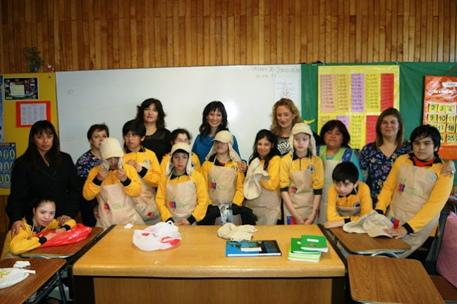 Opiniones de Escuela Paul Harris en Punta Arenas - Escuela