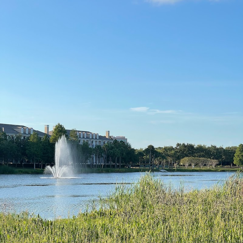 Carillon Conservation Pond Trail