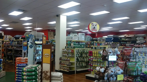 Pet Supply Store «Pet Supermarket», reviews and photos, 2449 S Hiawassee Rd, Orlando, FL 32835, USA