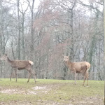Photo n° 2 de l'avis de Eric.e fait le 17/12/2017 à 18:50 pour Le Gaulois à Mazeyrolles