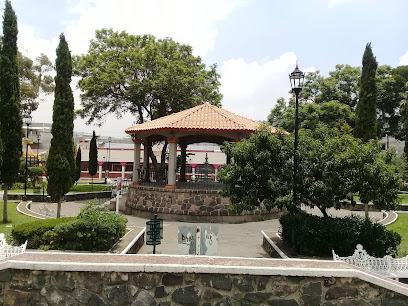 San Pedro Actopan, , 