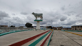 Municipalidad del Centro Poblado Urinsaya