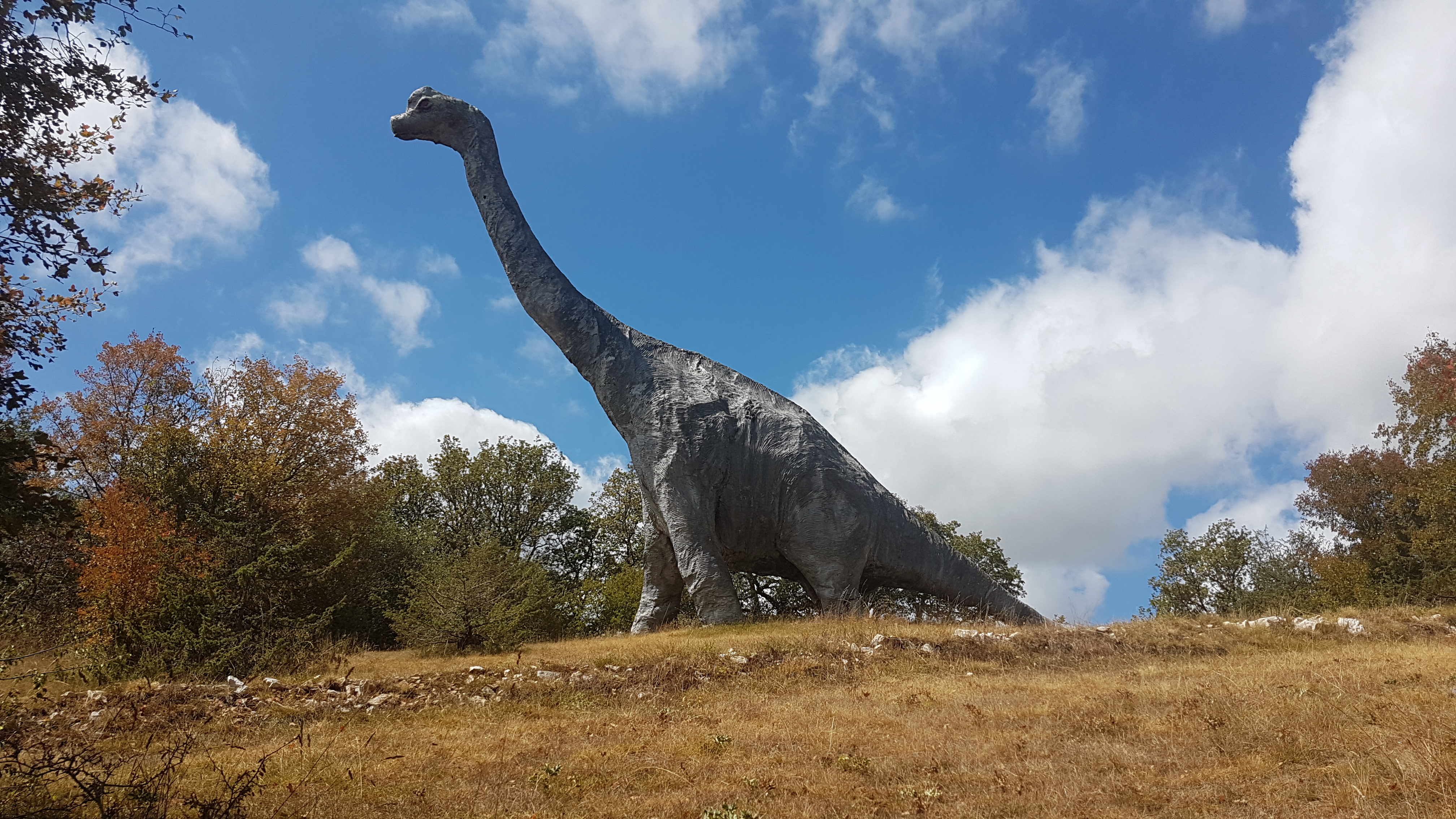 Photo n° 4 de l'avis de Benjamin.r fait le 16/08/2020 à 17:21