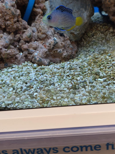 Pet Supply Store «Petco Animal Supplies», reviews and photos, 3194 FM407, Highland Village, TX 75077, USA