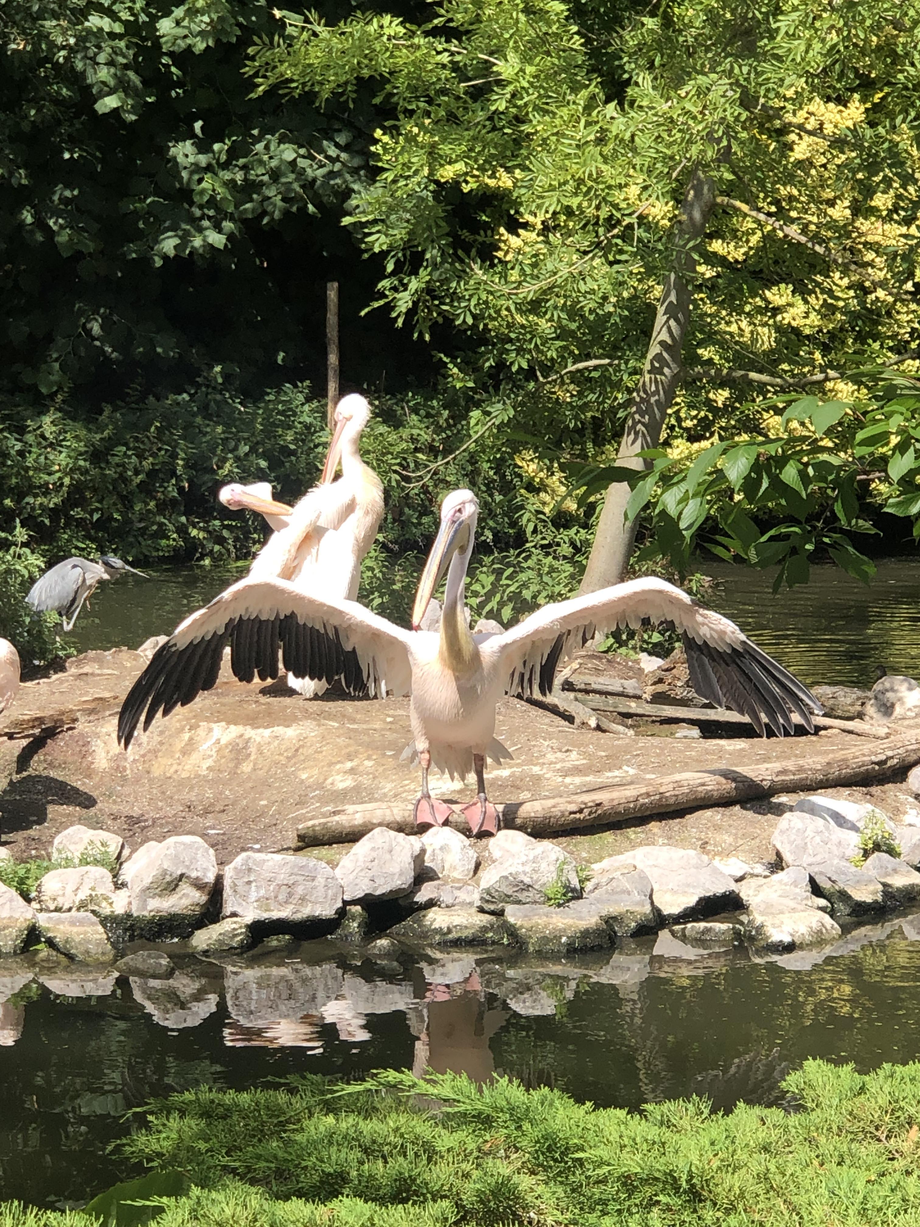 Photo n° 4 de l'avis de Thomas.i fait le 17/08/2023 à 14:11