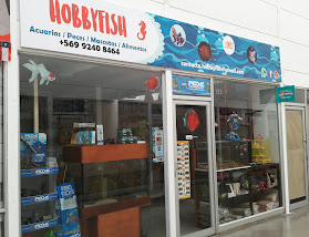 HOBBY FISH ACUARIOS & MASCOTAS