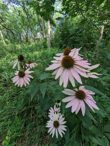 Performing Arts Theater «Prairie Center For the Arts», reviews and photos, 201 Schaumburg Ct, Schaumburg, IL 60193, USA