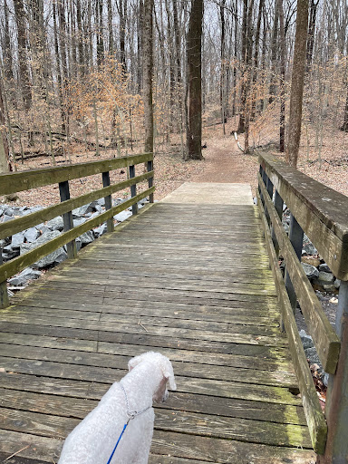 Park «Fairfax Villa Park», reviews and photos, 11399 Park Dr, Fairfax, VA 22030, USA