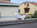 Villa Orsini - A Retreat in Pisa - Food and Relax Pisa