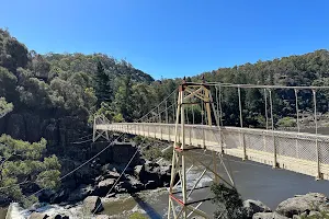 Alexandra Suspension Bridge image