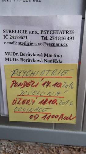 Recenze na Vítková Borůvková Martina Mudr., Borůvková Naděžda MUDr. v Praha - Psycholog