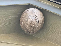 Omnis Pest Control DBA Why-U-Buggin Pest Control - Photo 8 - Car repair in , Colorado Springs