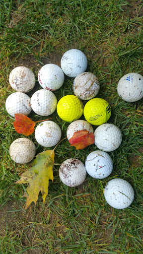 Non-Profit Organization «Needham Golf Club», reviews and photos, 49 Green St, Needham, MA 02492, USA