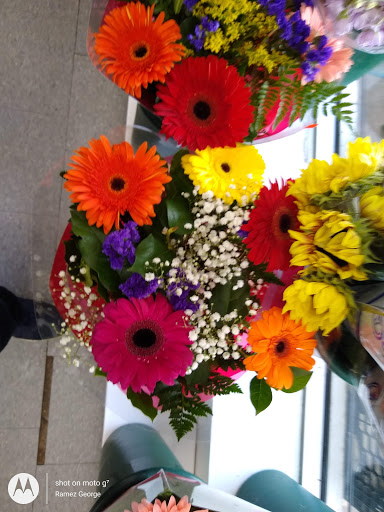 Supermarket «206 Farmers Market Inc», reviews and photos, 626 US-206, Hillsborough Township, NJ 08844, USA