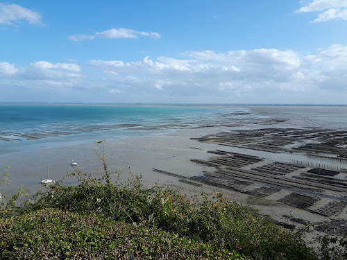 point de vue sur le port à Cancale