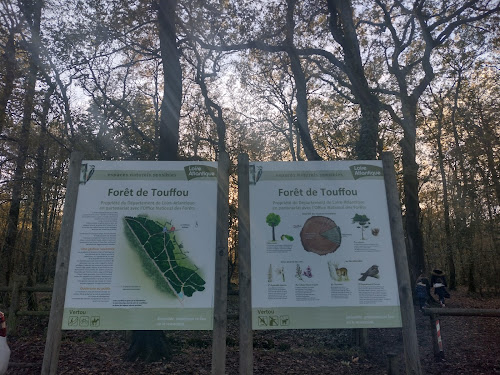 Forêt de Touffou à Vertou