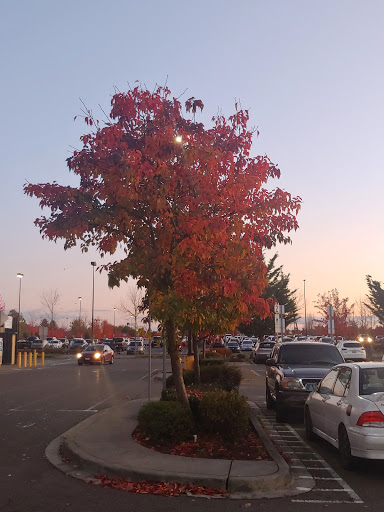 Department Store «Walmart Supercenter», reviews and photos, 762 Outlet Collection Way, Auburn, WA 98001, USA