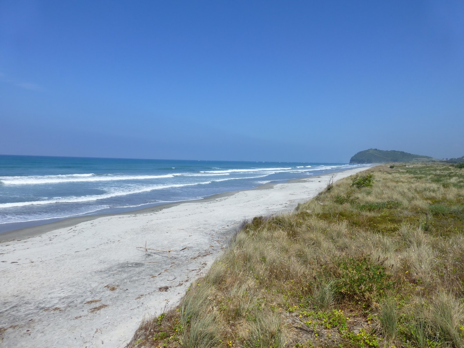 Fotografie cu Ocean Beach - locul popular printre cunoscătorii de relaxare