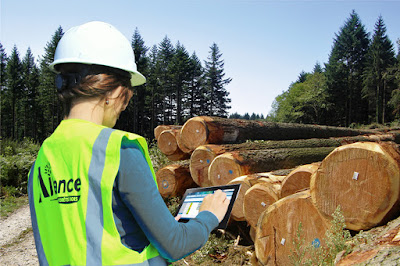 ALLIANCE Forêts Bois à Aubusson