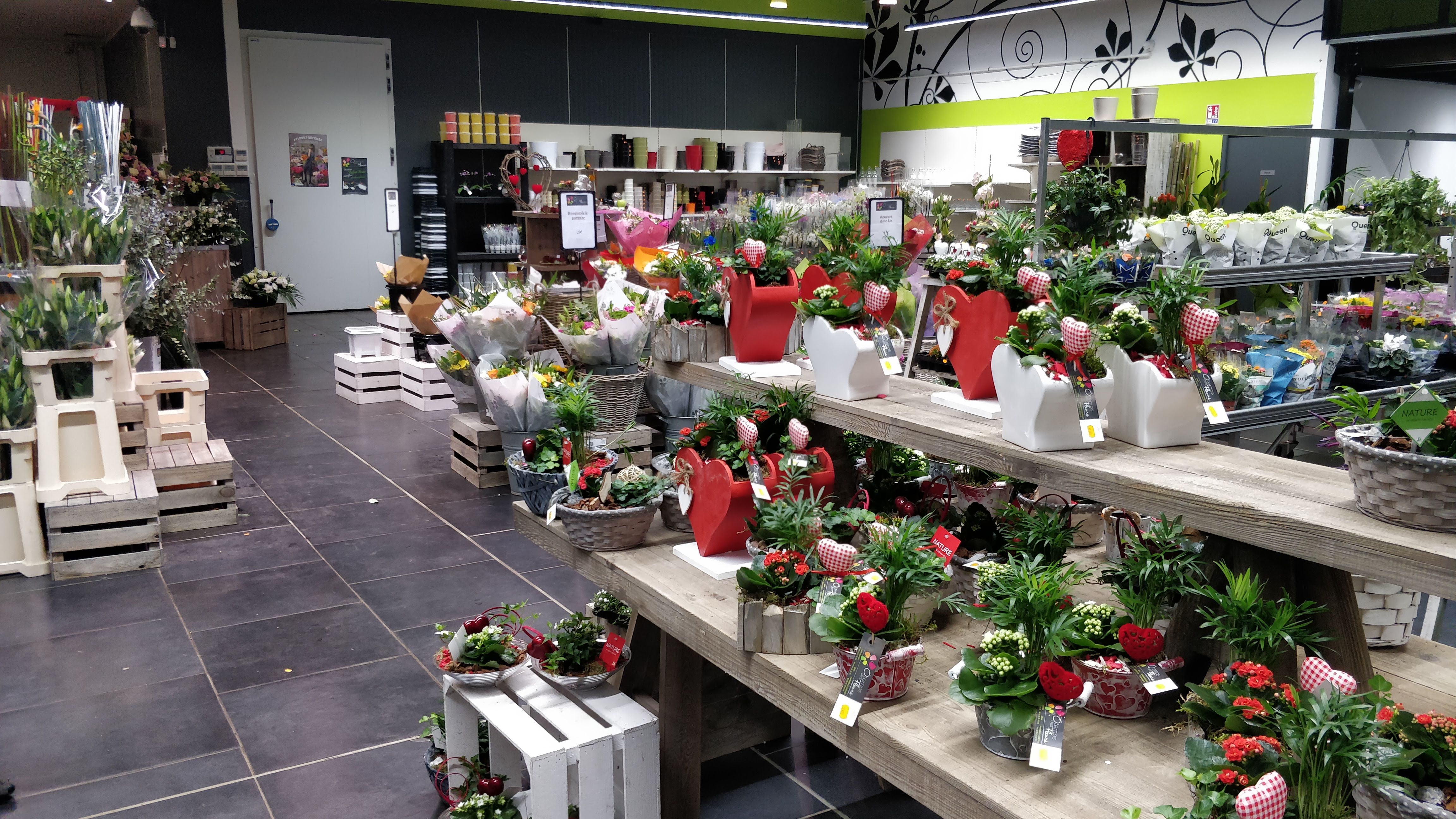 Photo n° 4 de l'avis de David.a fait le 09/02/2019 à 17:50