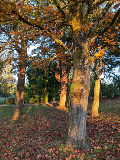 Park «McAuliffe Park», reviews and photos, 10824 NE 116th St, Kirkland, WA 98034, USA