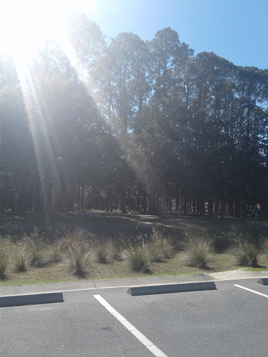 Park «Al Helms Dog Park», reviews and photos, 1022 Balboa Ave, Panama City, FL 32401, USA