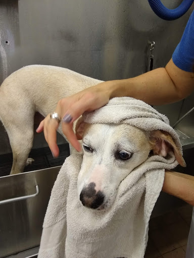 Pet Supply Store «Pet Supplies Plus», reviews and photos, 1519 Lititz Pike, Lancaster, PA 17601, USA