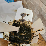 Photo n°1 de l'avis de Sowon.e fait le 16/05/2023 à 13:11 sur le  Fried Land à Venice