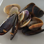 Photo n°1 de l'avis de Augusto.a fait le 31/10/2019 à 09:28 sur le  Usodimare & Mino on The Beach à Gaeta