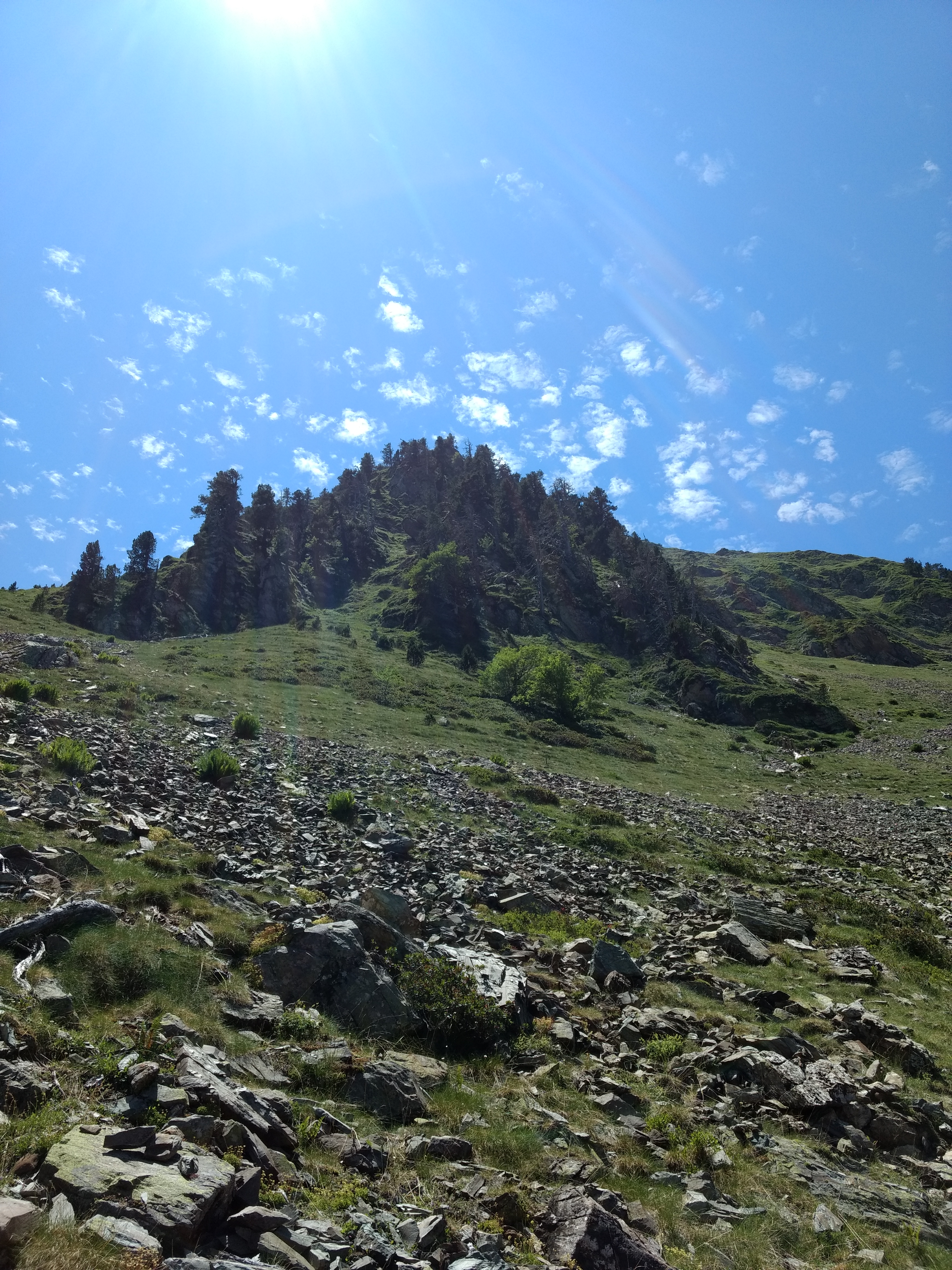 Photo n° 2 de l'avis de King.t fait le 16/07/2019 à 18:41